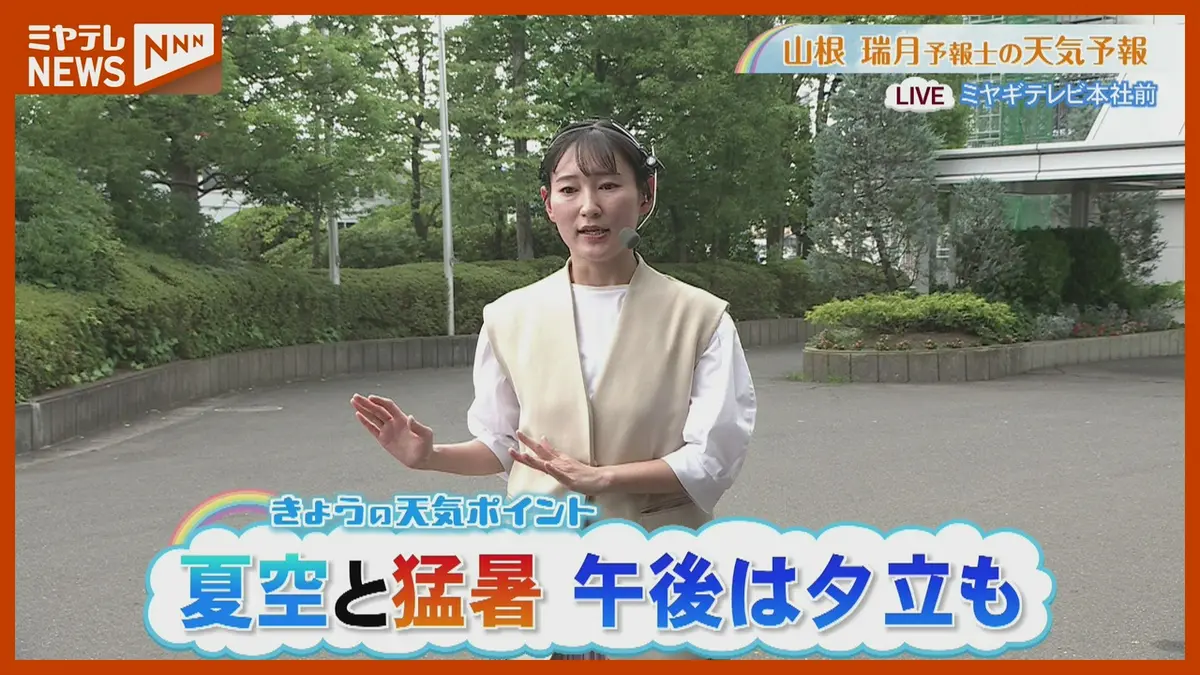 日テレNEWS NNN 7月22日(水) 12:07 夏空と猛暑 午後は夕立も 7月22日