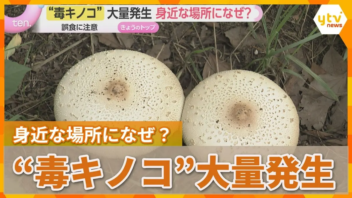 日テレNEWS NNN 9月17日(木) 17:12 「絶対に食べないで」なぜ今