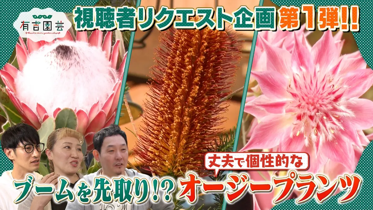 夢が咲く 有吉園芸～Road to start a garden shop～ 3月10日(火)放送分