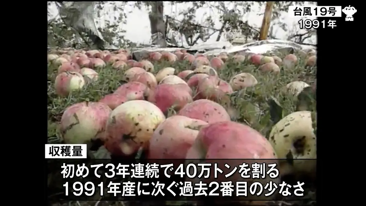 日テレNEWS NNN 5月27日(水) 11:57 青森県産りんご収穫量が初の3年連続