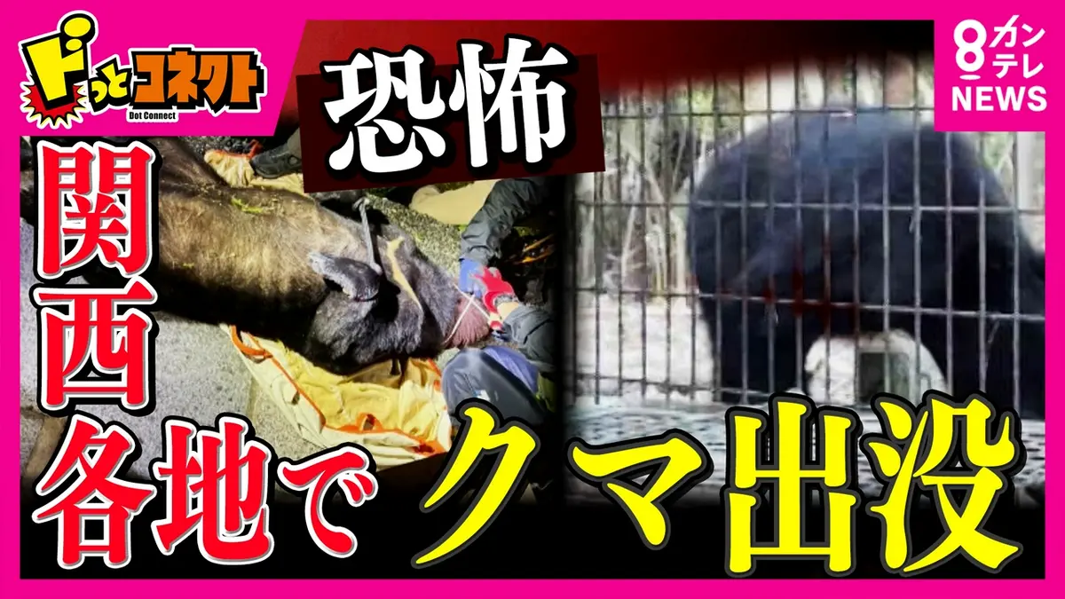 ドっとコネクト 6月20日(土)放送分 京大近くで「四足歩行の黒いモノを