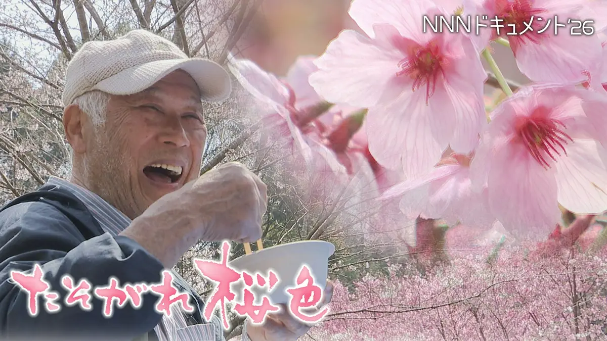 NNNドキュメント 5月17日(日)放送分 たそがれ桜色｜報道