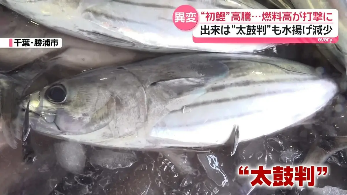 初ガツオ 日テレNEWS NNN 4月23日(木) 20:43 初ガツオ高騰…燃料高が打撃に 鮮度