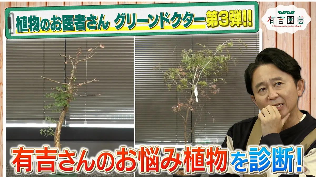 夢が咲く 有吉園芸～Road to start a garden shop～ 11月11日(火)放送