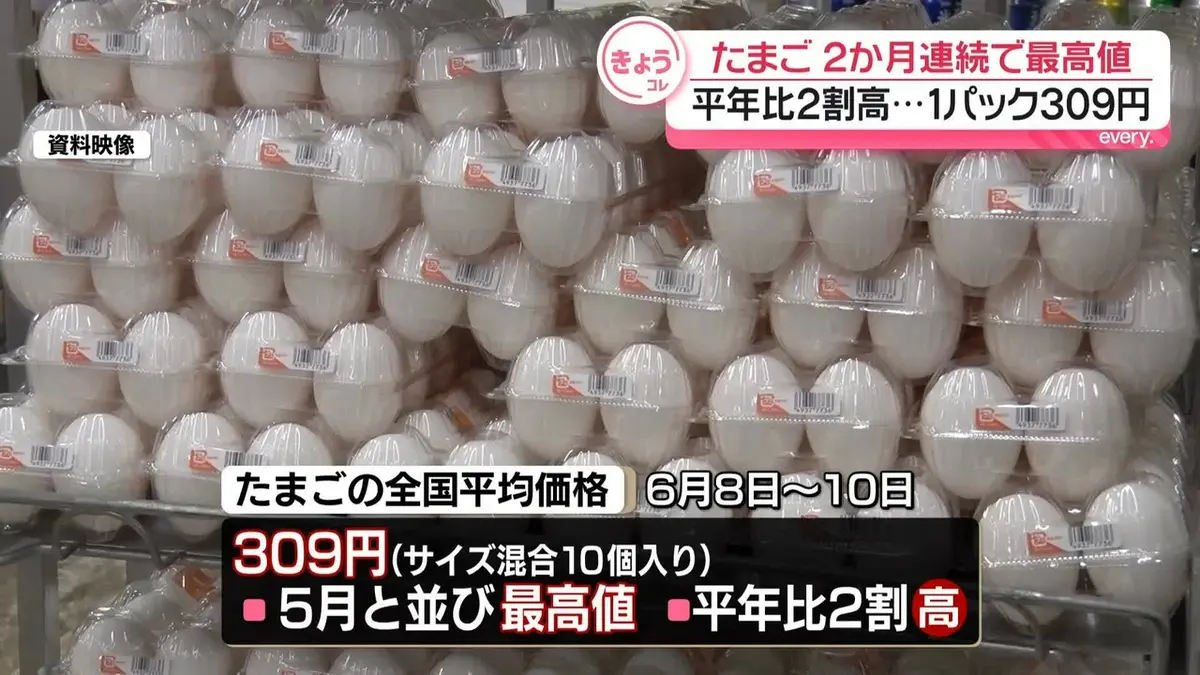たまご （発送を4〜7日後になります。） 日テレNEWS NNN 6月16日(火) 19:12 たまごの平均価格、2か月連続で最高