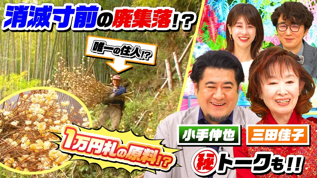 ナゼそこ？＋ 1月15日(木)放送分 高知・愛媛の県境…消滅寸前の廃集落たった一人暮らす（秘）未確認日本 人｜バラエティ｜見逃し無料配信はTVer！人気の動画見放題