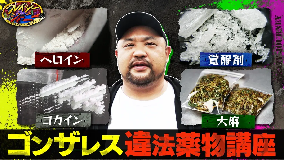 活動歴および当時の関連ビジュアル記録