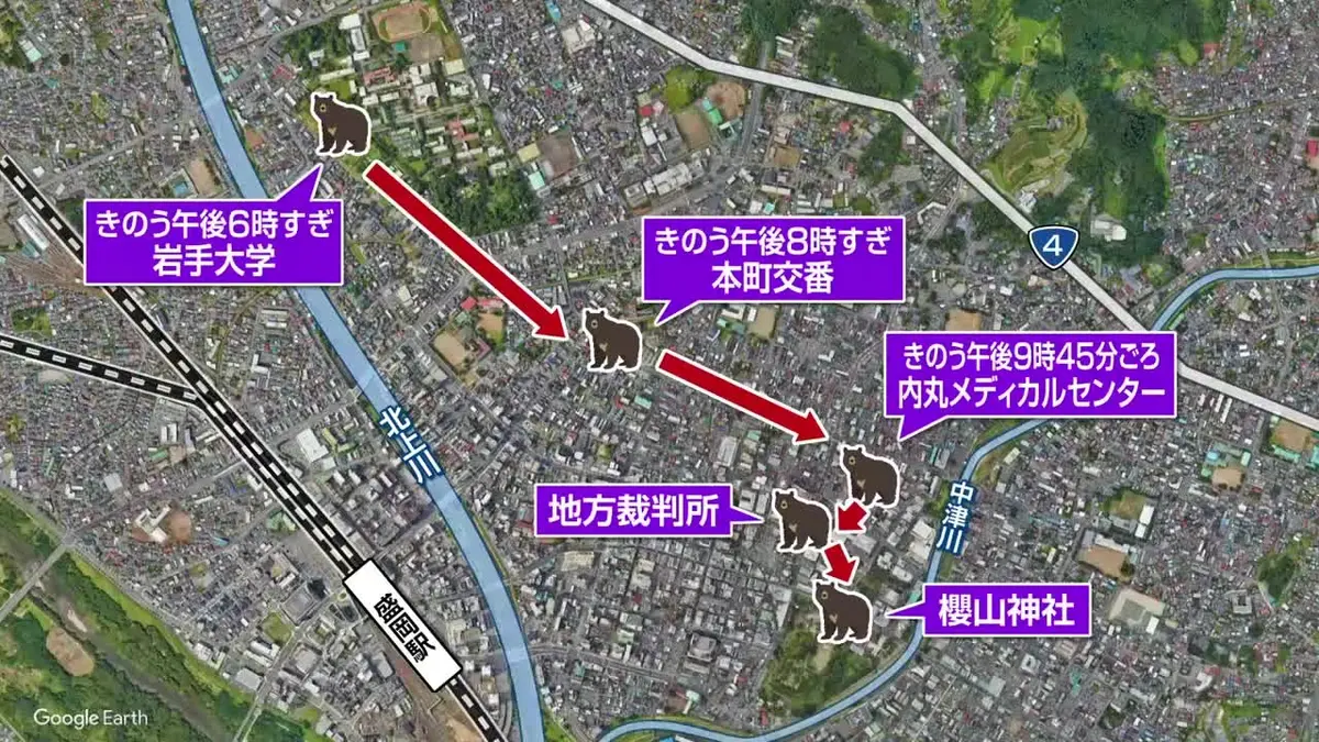 日テレNEWS NNN 5月15日(金) 12:15 【盛岡市中心部でクマの目撃相次ぐ
