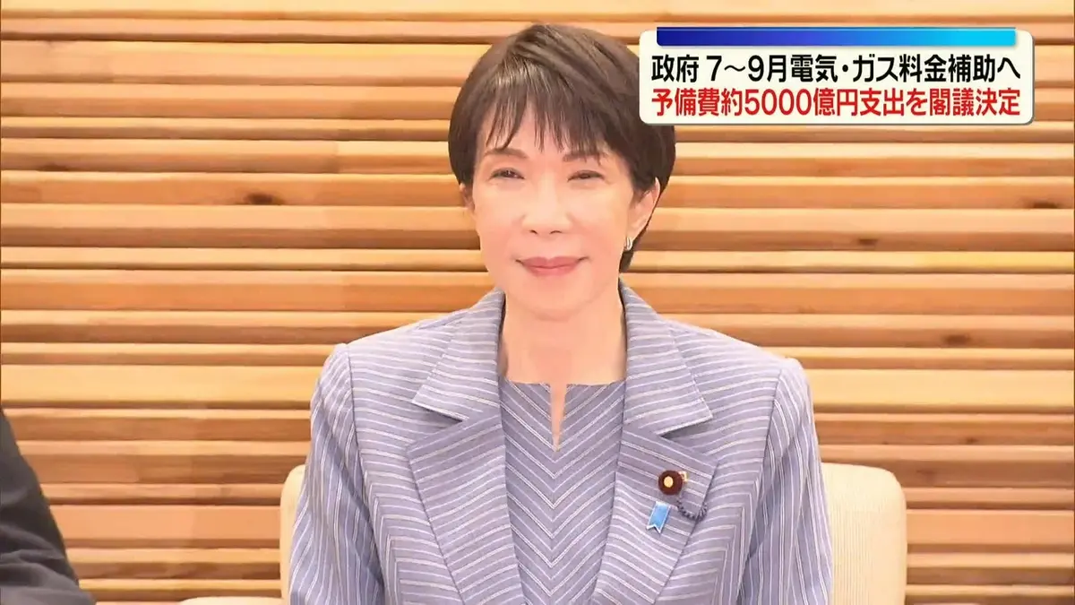 日テレNEWS NNN 5月26日(火) 11:41 政府が7～9月の電気・ガス料金補助