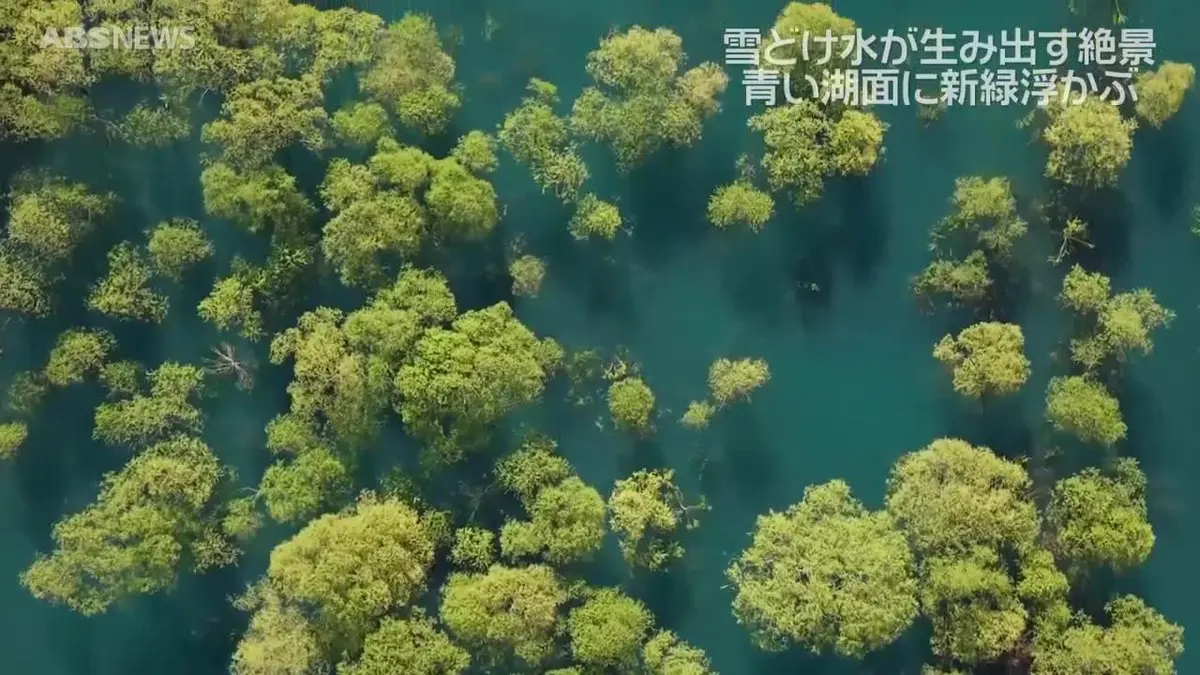 日テレNEWS NNN 5月11日(月) 18:40 雪どけ水が生み出す光景 秋扇湖に