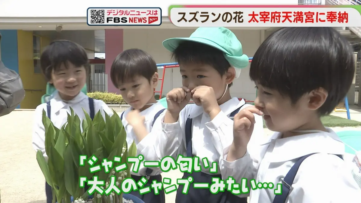 日テレNEWS NNN 5月8日(金) 19:40 北海道から届いたスズラン 太宰府