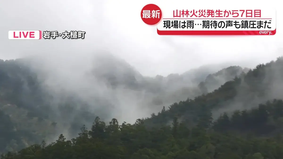日テレNEWS NNN 4月28日(火) 17:21 岩手・大槌町の山林火災 発生から7