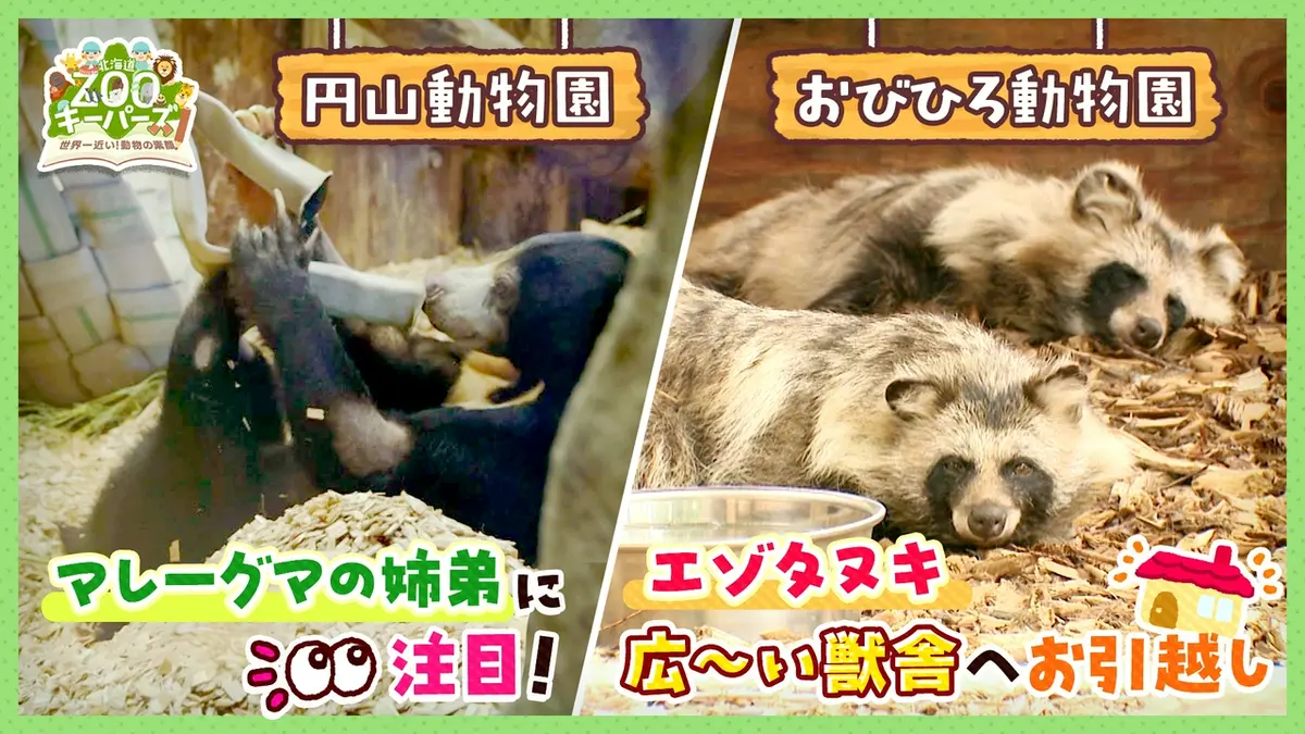 北海道ZOOキーパーズ～世界一近い！動物の素顔～｜報道