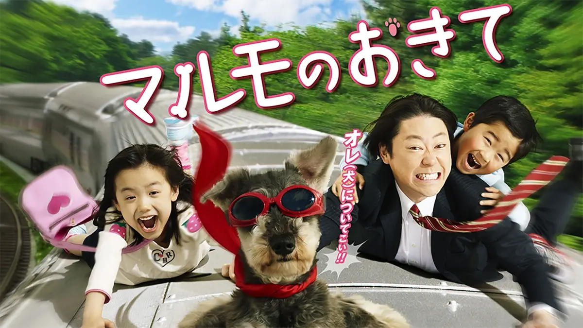 ドラマ マルモ の おき て