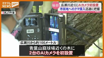 日テレNEWS NNN 5月19日(火) 20:00 クマかどうかを自動で判別！仙台市