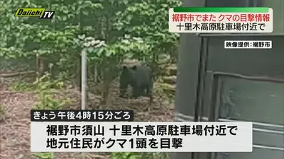日テレNEWS NNN 5月24日(日) 21:14 【クマ目撃情報】裾野市須山・十里