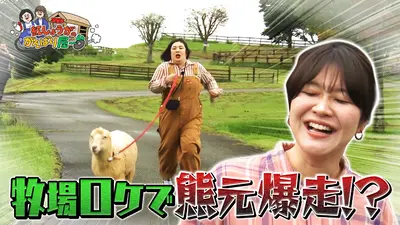 紅しょうがのがんばり屋～台 めざせ！熊本のプロです 11月15日(土)放送