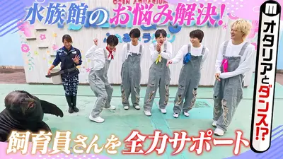 M!LKじゃん！ 12月2日(火)放送分 八景島シーパラダイス編｜バラエティ