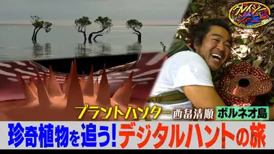 クレイジージャーニー クレイジージャーニー 2月23日(月)放送分 摩訶不思議…珍奇な植物だらけ