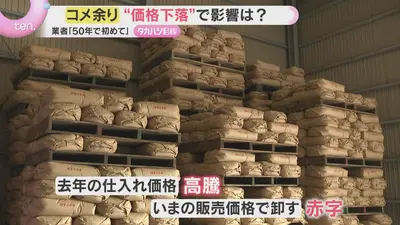 日テレNEWS NNN 6月10日(水) 18:04 冠水した道路で…車走行の危険性
