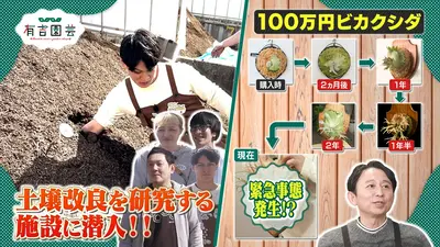 夢が咲く 有吉園芸～Road to start a garden shop～ 4月7日(火)放送分