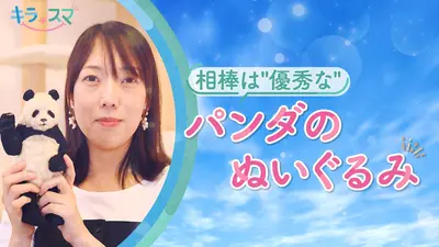 ウチ、“断捨離”しました！ 11月11日(火)放送分 「超個性派ママの大家族