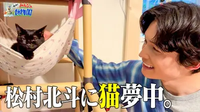 匿名配送　泣けこの野郎　松本乱菊 嗚呼!!みんなの動物園 7月11日(土)放送分 池崎一門!激かわ兄妹猫
