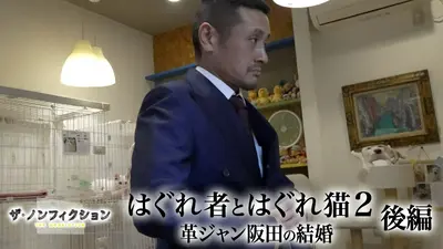 ザ・ノンフィクション 5月17日(日)放送分 はぐれ者とはぐれ猫2 後編