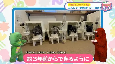 ガチャピン・ムック ねぇねぇきいて 6月29日(月)放送分 第13回 わんこ4