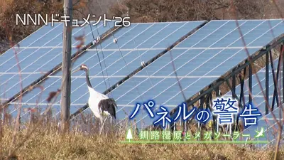 【中古】 市民のための環境監視 NNNドキュメント 3月15日(日)放送分 パネルの警告～釧路湿原とメガ