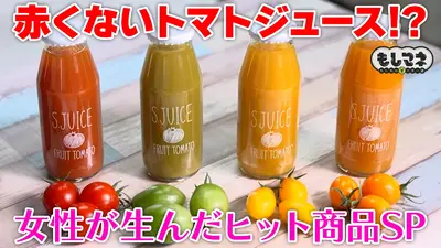 スーパーナチュレ トマトInc 日本製 モノポーラ ラジオ波 新品パーツ付き 日経スペシャル もしものマネー道 もしマネ 12月7日(日)放送分 女性が