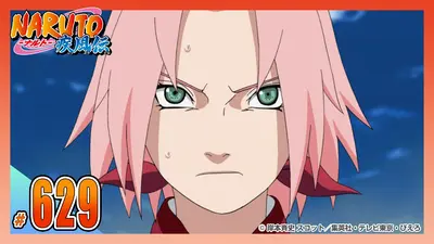 NARUTO-ナルト- 疾風伝 2015年放送 第六百二十九話 二人の背中｜アニメ