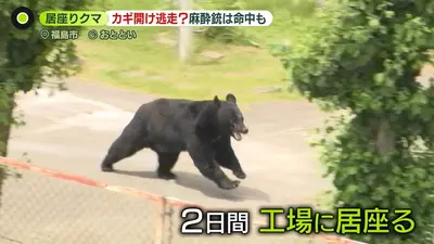 ジェネラルリサーチ　パドロック　鍵　熊 日テレNEWS NNN 6月4日(木) 23:22 「極めて知能性あるクマ」自ら窓の