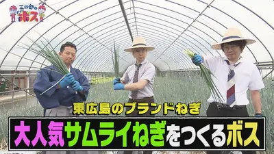 ニッポンの凄腕漁師2025 10月26日(日)放送分 屋久島秘伝！空飛ぶ