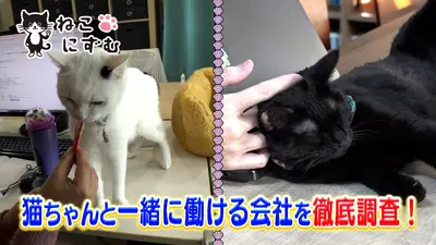 CIAOちゅ～るpresents オールねこ感謝祭！！ニャン♪にゃん♪オフ