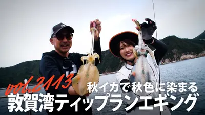 THEフィッシング 11月8日(土)放送分 秋イカで秋色に染まる 敦賀湾