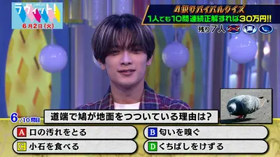 ラウィHyb 2カット ⚠️札は付きません ラヴィット！ 6月2日(火)放送分 【6/2】サバイバルクイズに佐久間