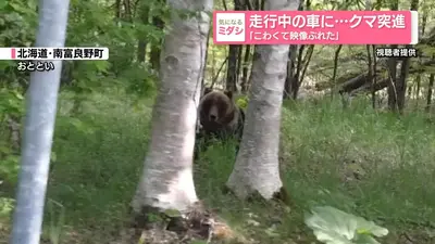 くまこ 週末発送 日テレNEWS NNN 5月28日(木) 19:28 走行中の車に…クマ突進 「こわくて