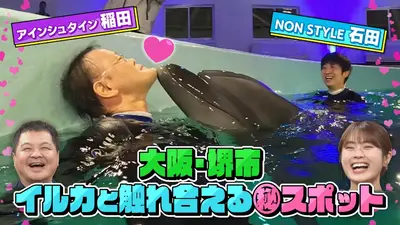 大阪ほんわかテレビ 12月19日(金)放送分 関西㊙物件！300坪大豪邸