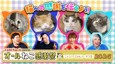 ねこた（感謝）/3 CIAOちゅ～るpresents オールねこ感謝祭！！ニャン♪にゃん♪オフ