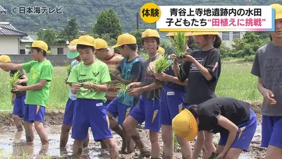 日テレNEWS NNN 6月11日(木) 19:12 青谷上寺地遺跡にある田んぼで”古代
