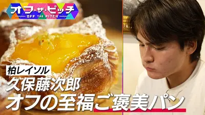 突発的に断捨離します コミネ公式】SK-859 エニグマ ライト CE1 バックプロテクター | KOMINE