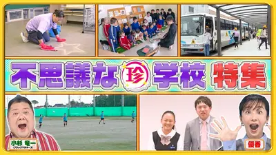 非売品　激レア　ナニコレ珍百景　珍記録限定　珍メダル ナニコレ珍百景 11月9日(日)放送分 世界が注目する離島＆田舎町