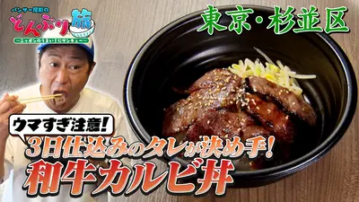 尾形ののぞき穴　半券 パンサー尾形のどんぶり旅​～ニッポンのうまい！にサンキュー～ 11月9