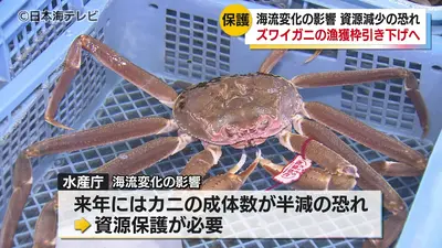 にかにか 翌日出荷 日テレNEWS NNN 5月19日(火) 19:03 来年にはカニの成体の数がいまの