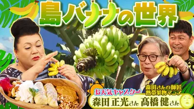 マツコの知らない世界 11月18日(火)放送分 後半「島バナナの世界