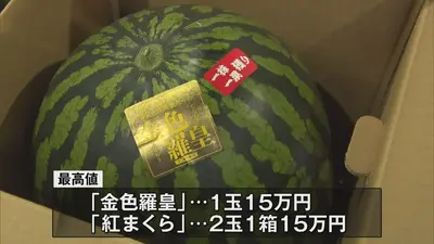 24時間以内に売れなければ300円！スイカ大！手作り額付「風天のニャンコ」 日テレNEWS NNN 6月13日(土) 18:30 屏風山のスイカ 1玉15万円 初