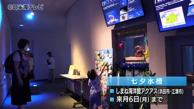 日テレNEWS NNN 6月17日(水) 12:05 天の川や夜空の星をイメージした