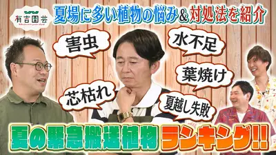 ウチ、“断捨離”しました！ 8月18日(火)放送分 「木更津発 家族をひとつ
