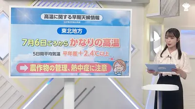 日テレNEWS NNN 6月29日(月) 19:41 7月6日ごろから気温かなり高くなる